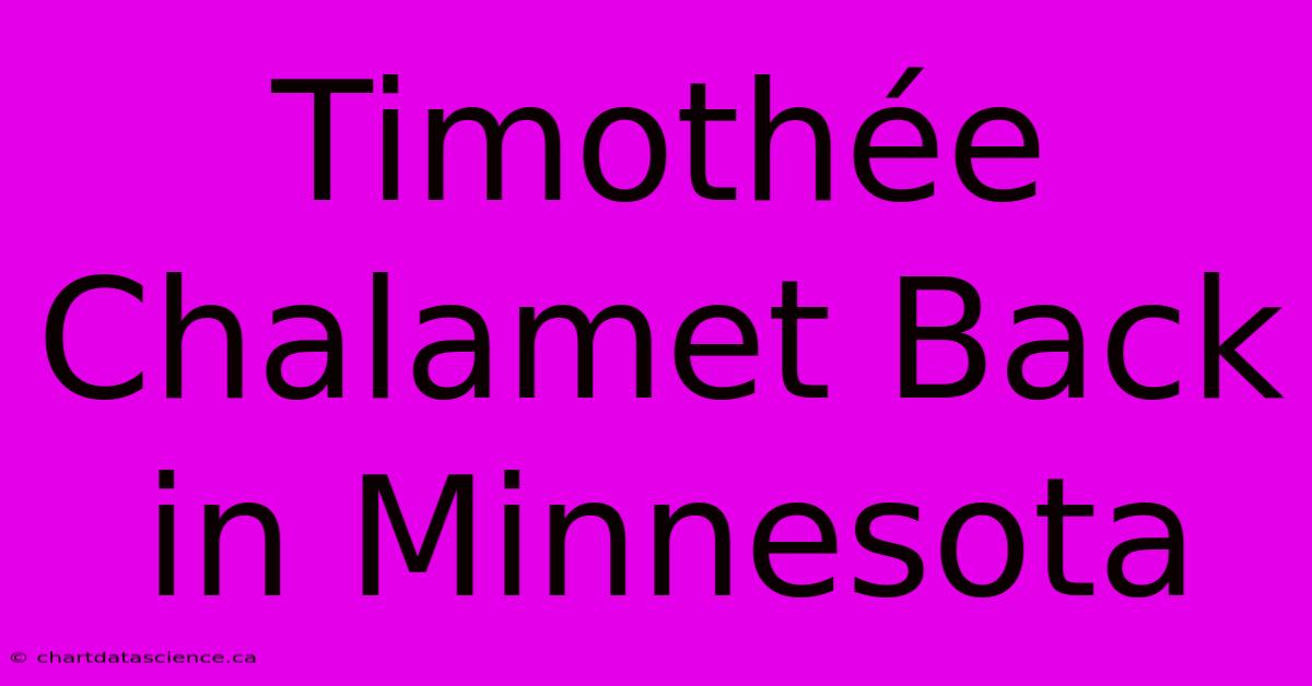 Timothée Chalamet Back In Minnesota