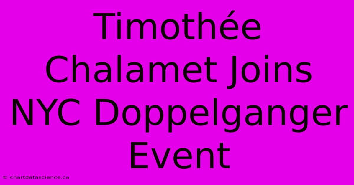 Timothée Chalamet Joins NYC Doppelganger Event