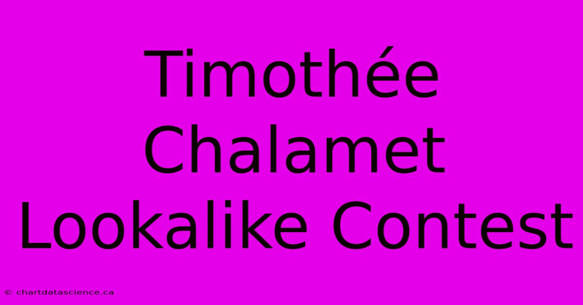 Timothée Chalamet Lookalike Contest