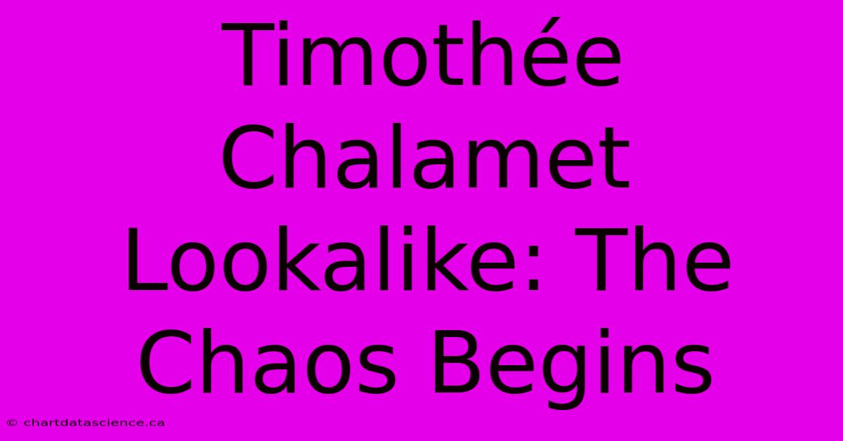 Timothée Chalamet Lookalike: The Chaos Begins