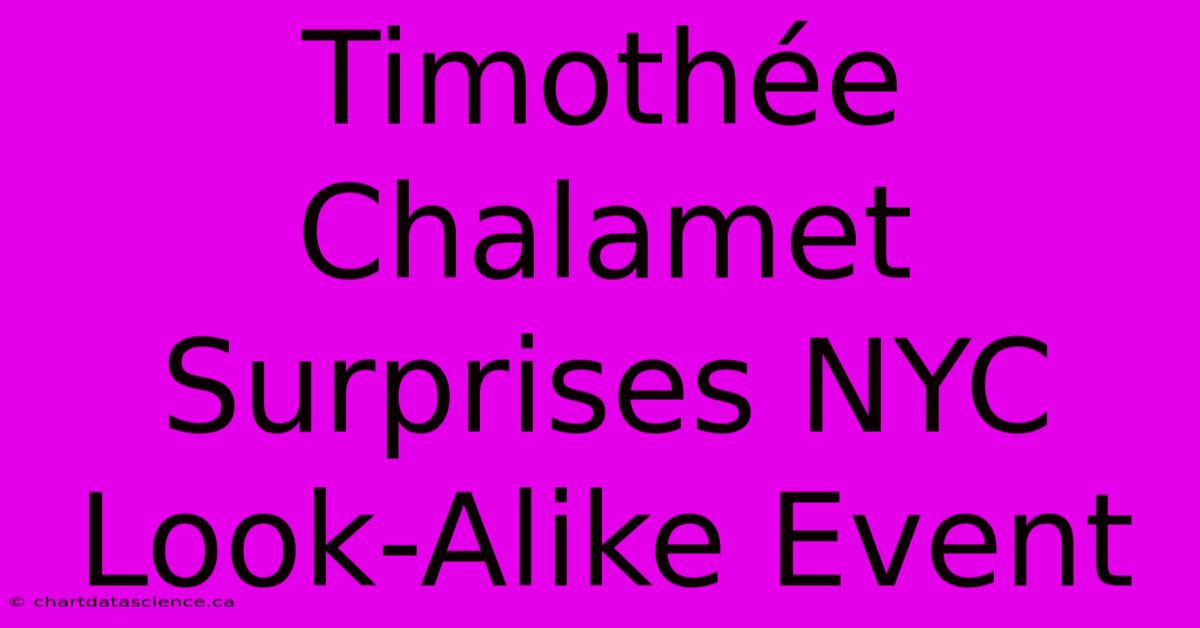 Timothée Chalamet Surprises NYC Look-Alike Event