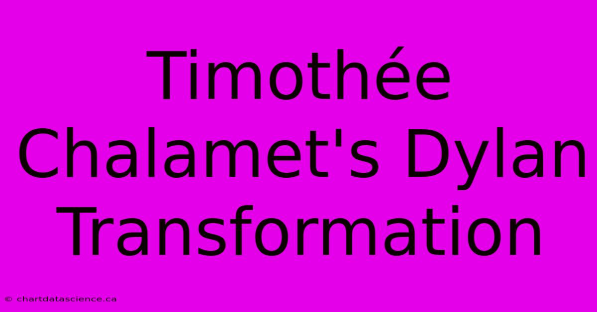 Timothée Chalamet's Dylan Transformation