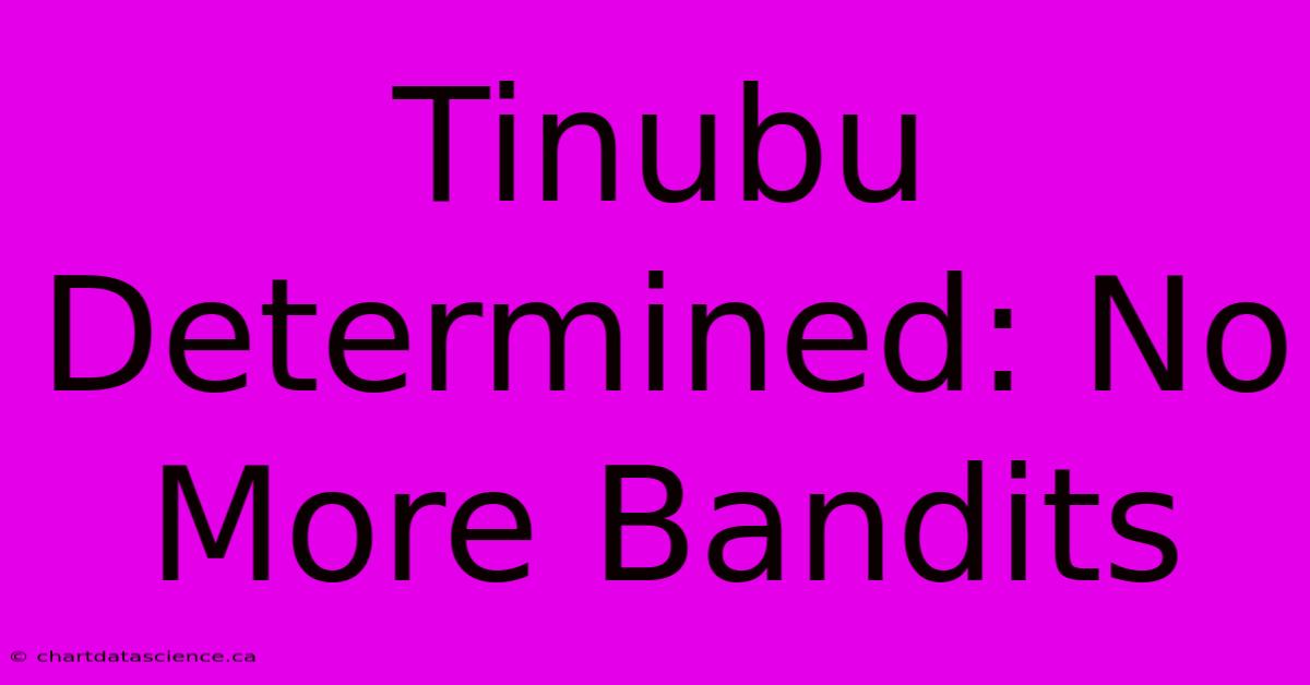 Tinubu Determined: No More Bandits