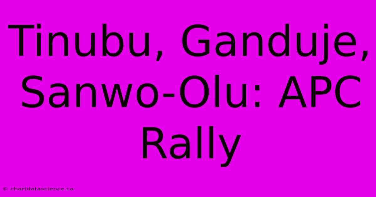 Tinubu, Ganduje, Sanwo-Olu: APC Rally