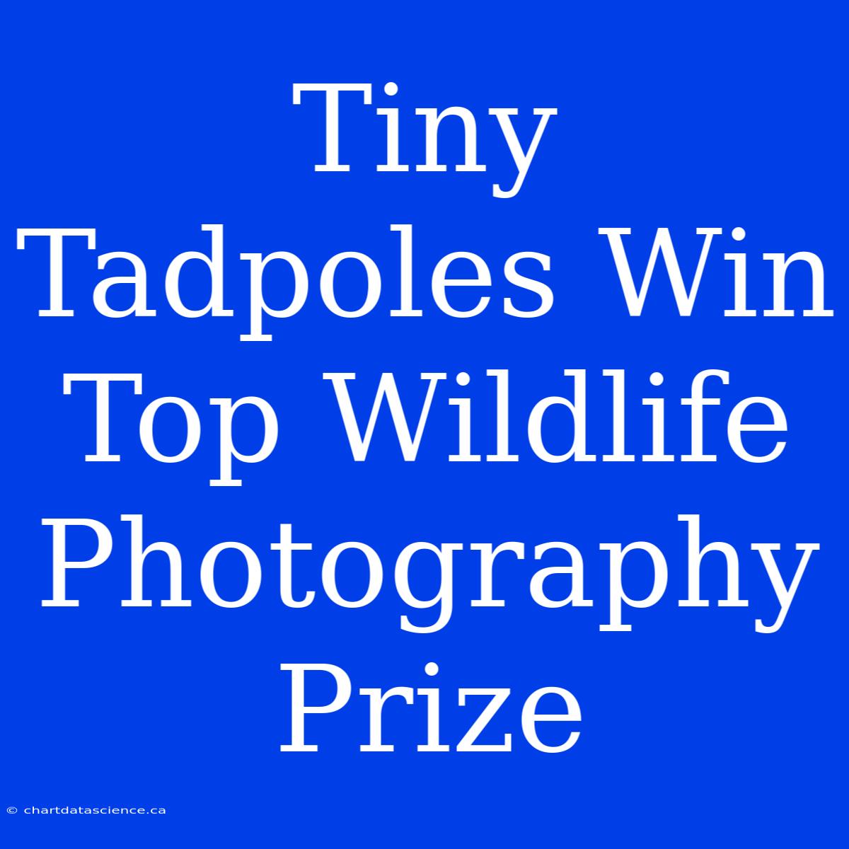 Tiny Tadpoles Win Top Wildlife Photography Prize