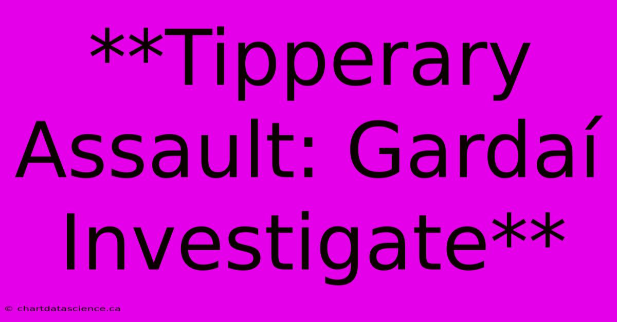 **Tipperary Assault: Gardaí Investigate**