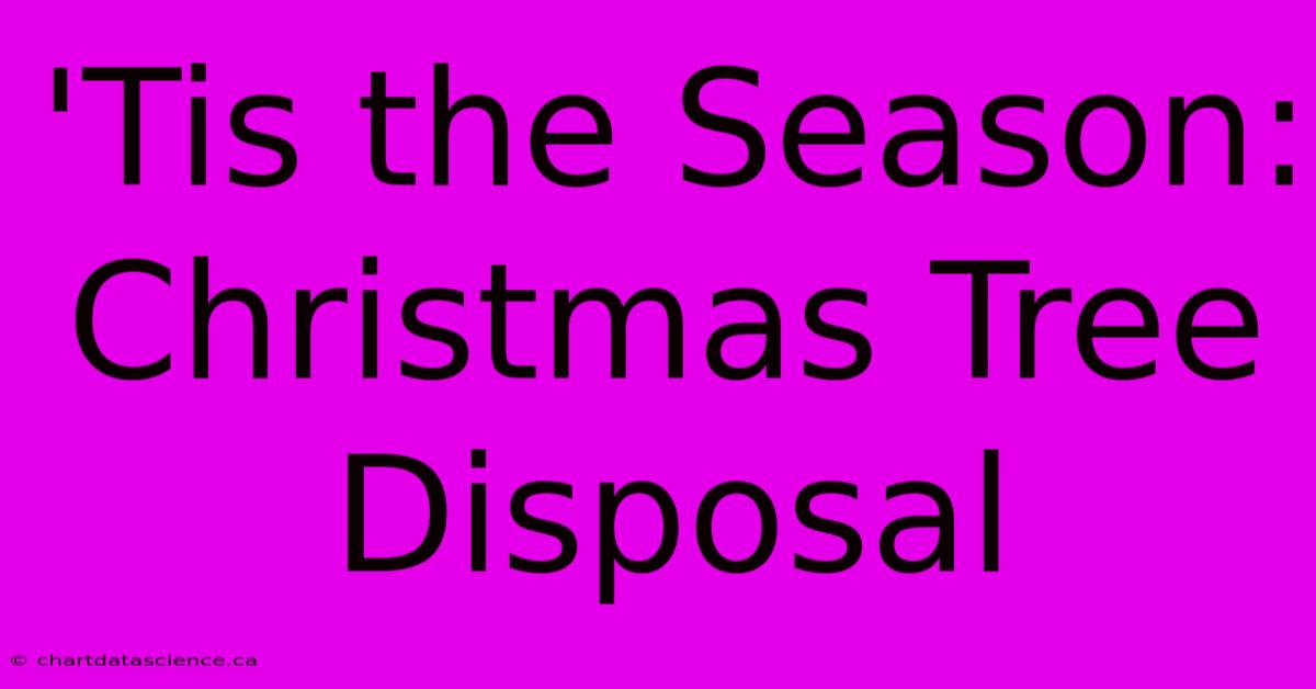 'Tis The Season: Christmas Tree Disposal