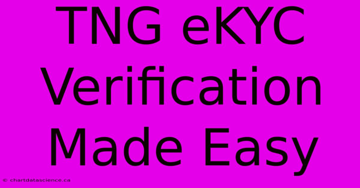 TNG EKYC Verification Made Easy