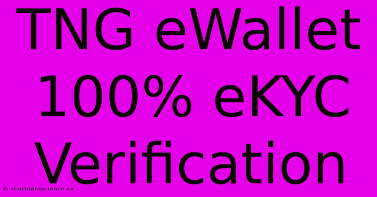 TNG EWallet 100% EKYC Verification