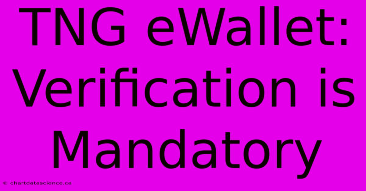 TNG EWallet: Verification Is Mandatory