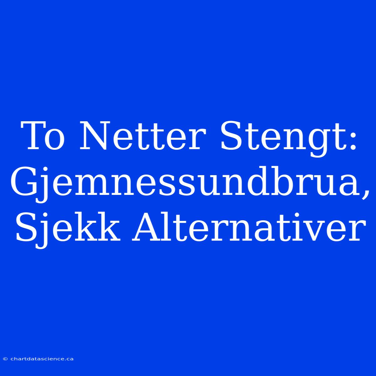 To Netter Stengt: Gjemnessundbrua, Sjekk Alternativer