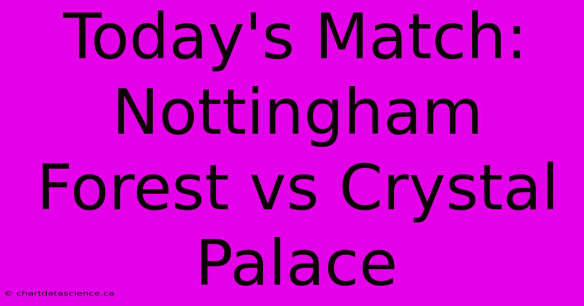 Today's Match: Nottingham Forest Vs Crystal Palace