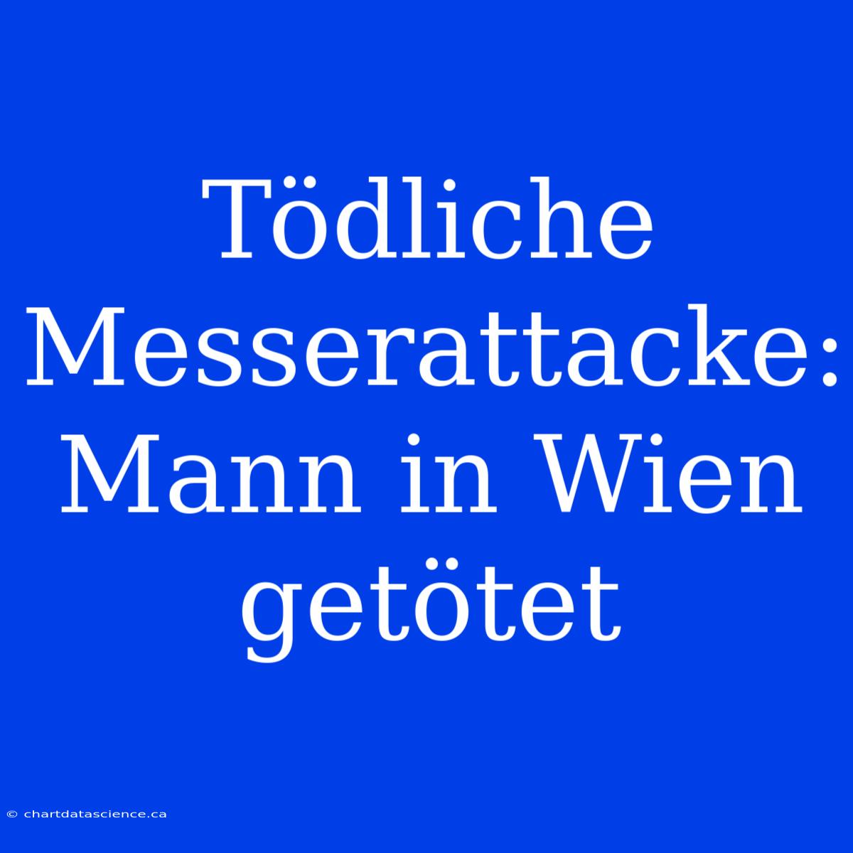 Tödliche Messerattacke: Mann In Wien Getötet