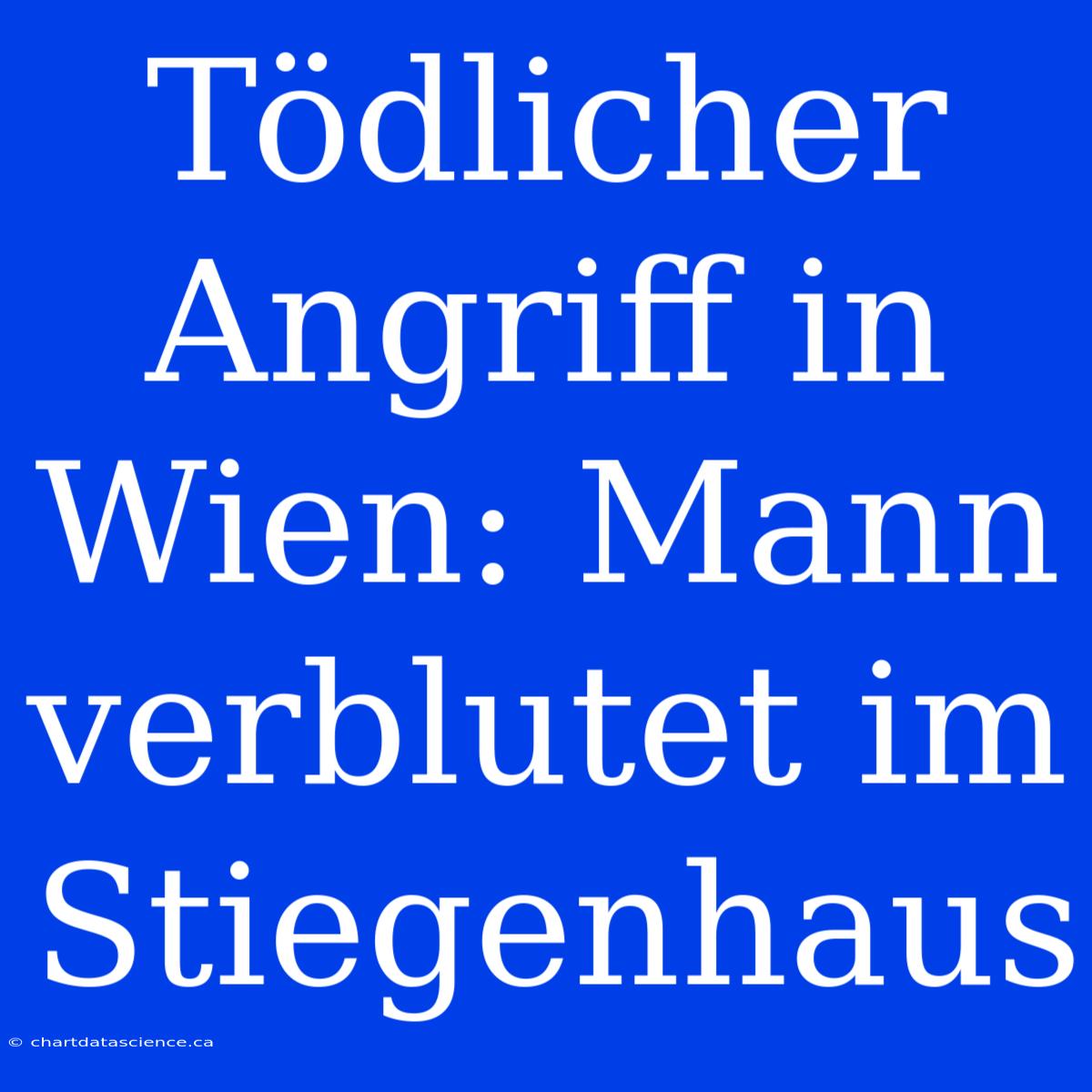 Tödlicher Angriff In Wien: Mann Verblutet Im Stiegenhaus