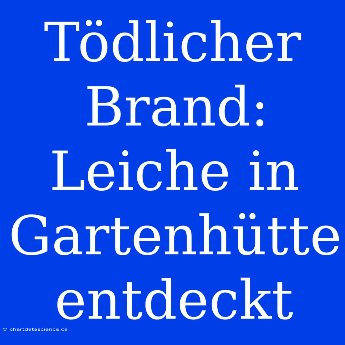 Tödlicher Brand: Leiche In Gartenhütte Entdeckt