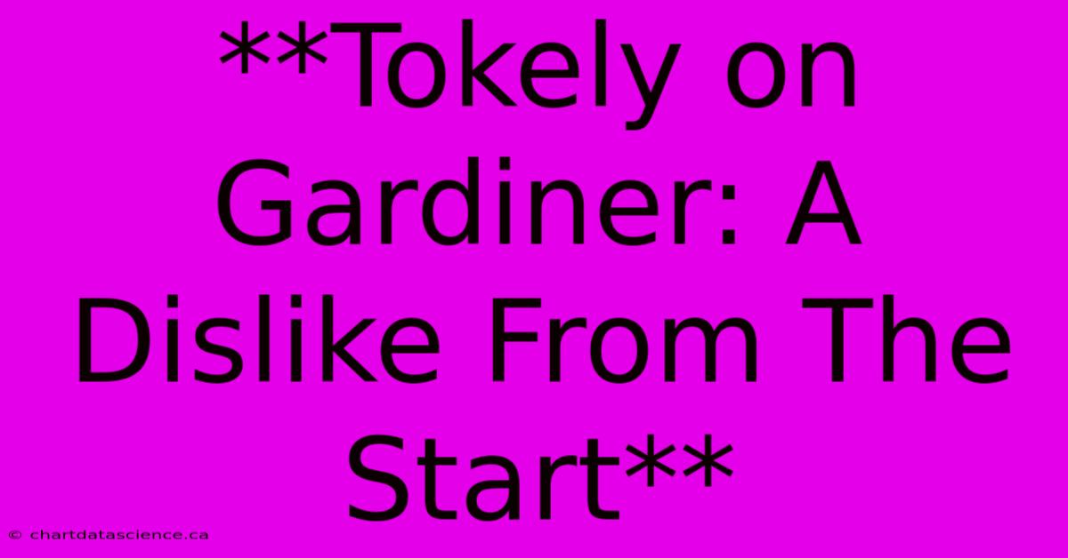 **Tokely On Gardiner: A Dislike From The Start** 