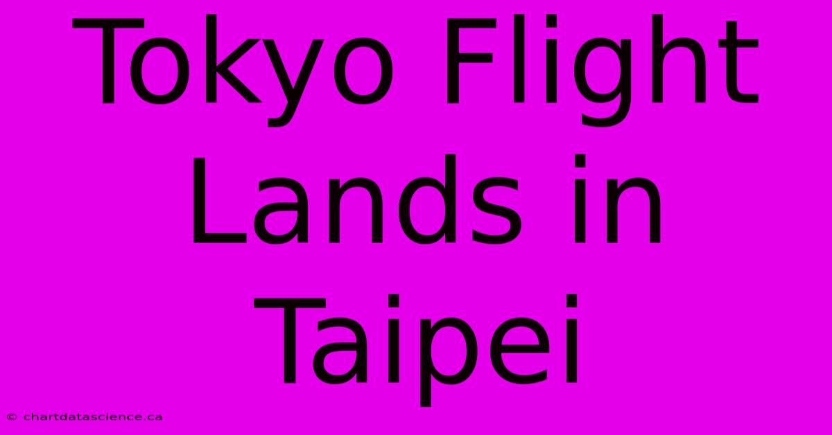 Tokyo Flight Lands In Taipei