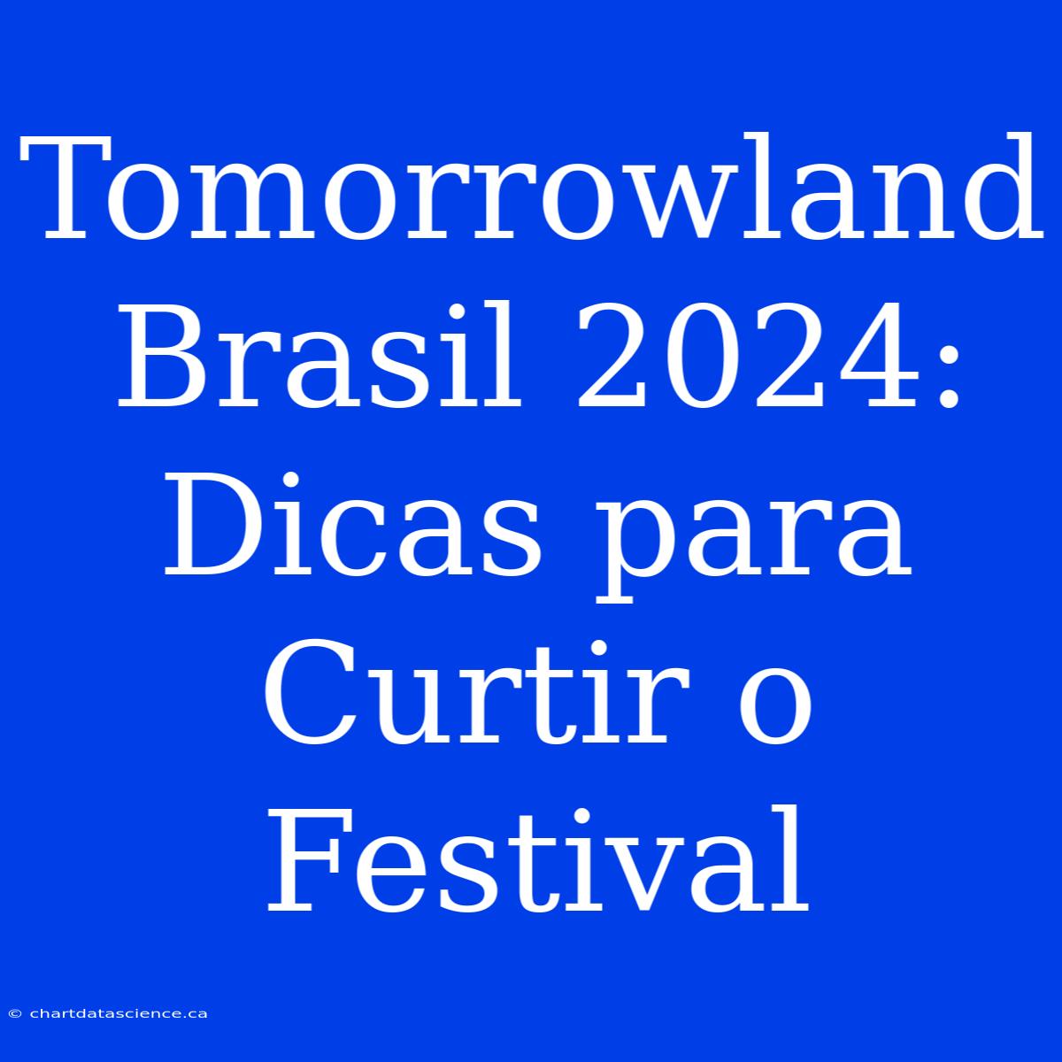 Tomorrowland Brasil 2024: Dicas Para Curtir O Festival