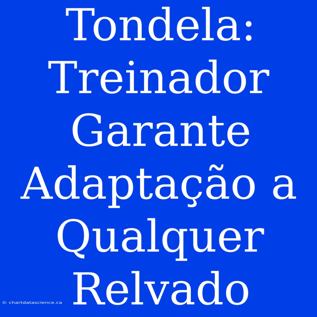 Tondela: Treinador Garante Adaptação A Qualquer Relvado