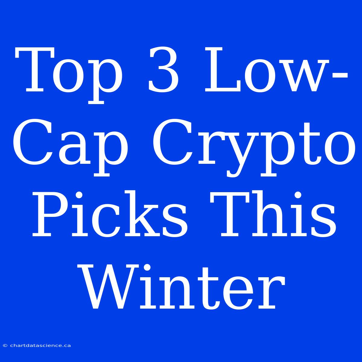 Top 3 Low-Cap Crypto Picks This Winter