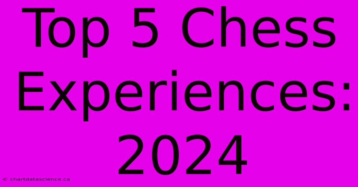 Top 5 Chess Experiences: 2024