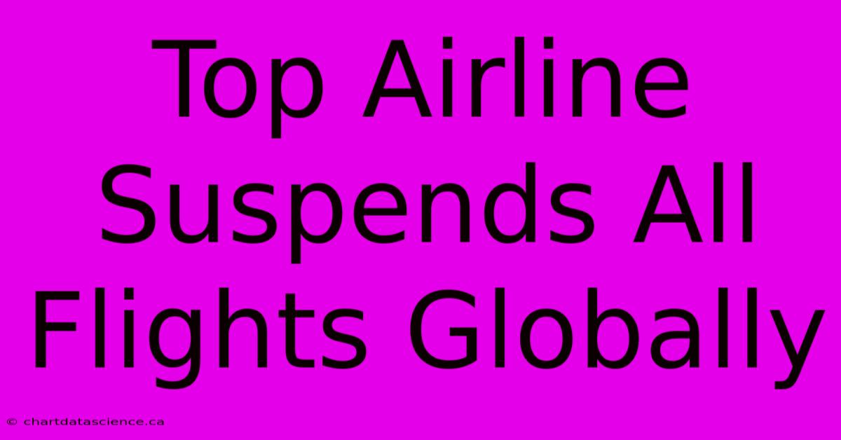 Top Airline Suspends All Flights Globally