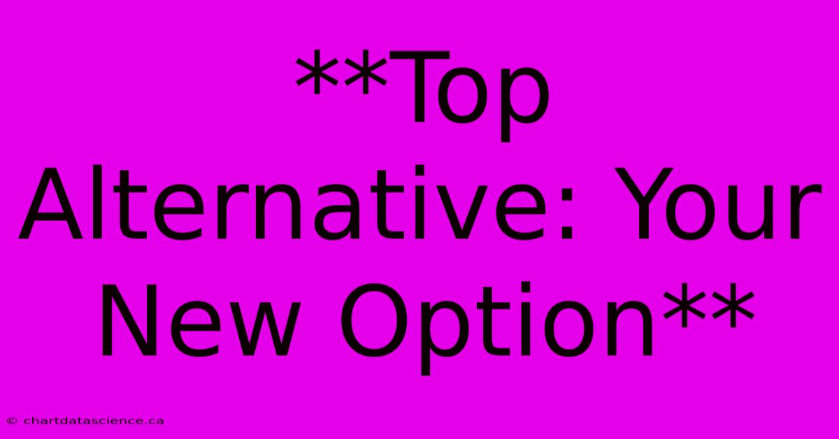 **Top Alternative: Your New Option**