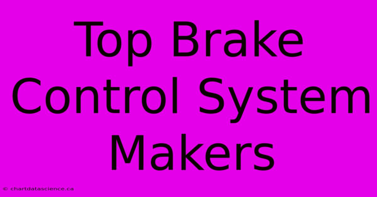 Top Brake Control System Makers