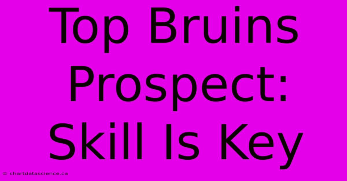 Top Bruins Prospect: Skill Is Key