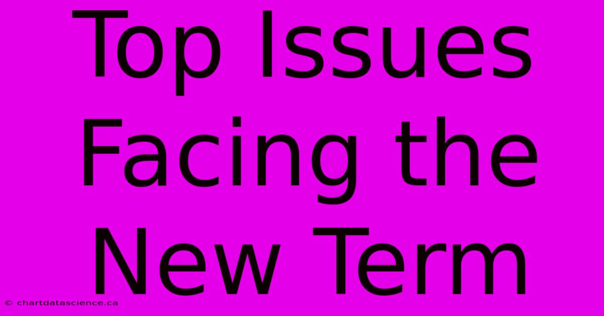 Top Issues Facing The New Term