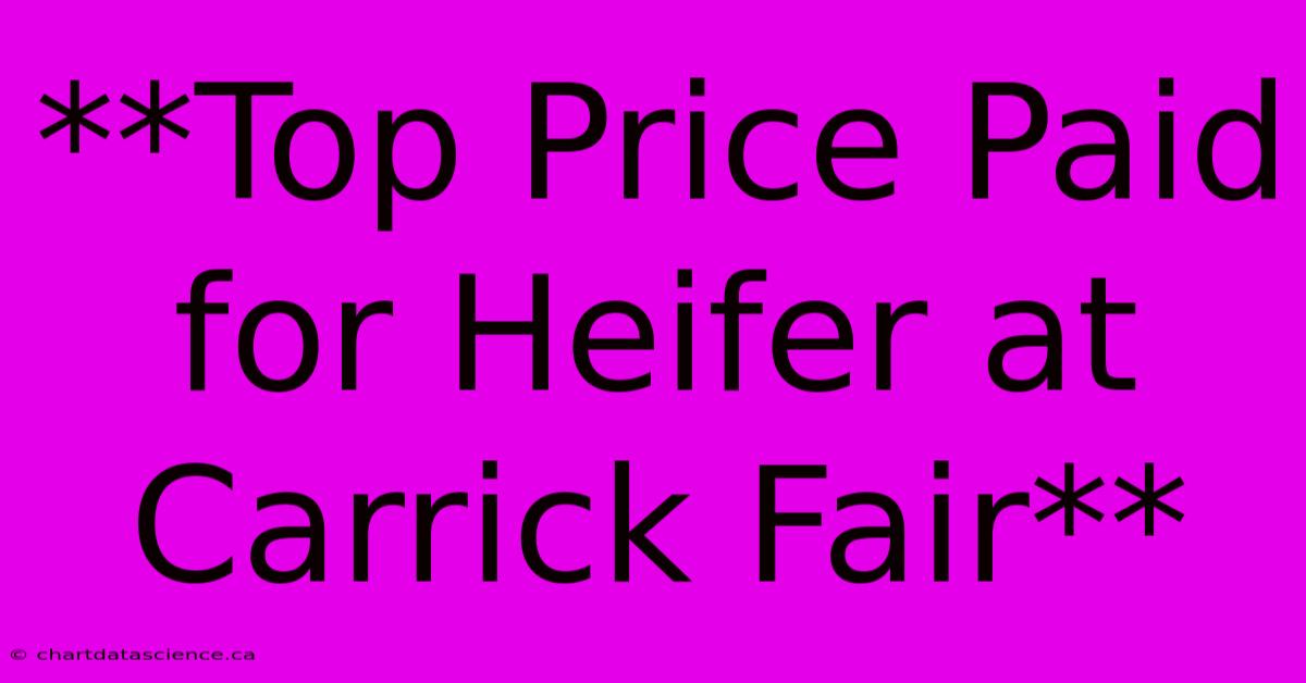 **Top Price Paid For Heifer At Carrick Fair**