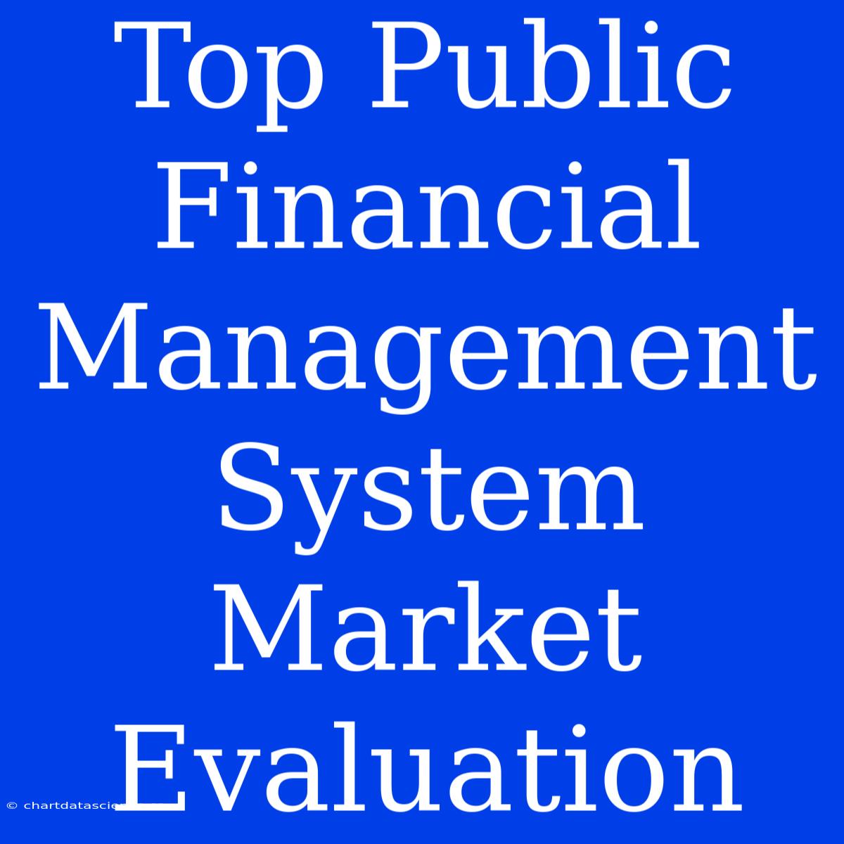 Top Public Financial Management System Market Evaluation