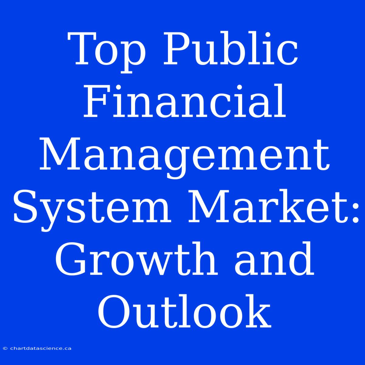 Top Public Financial Management System Market: Growth And Outlook