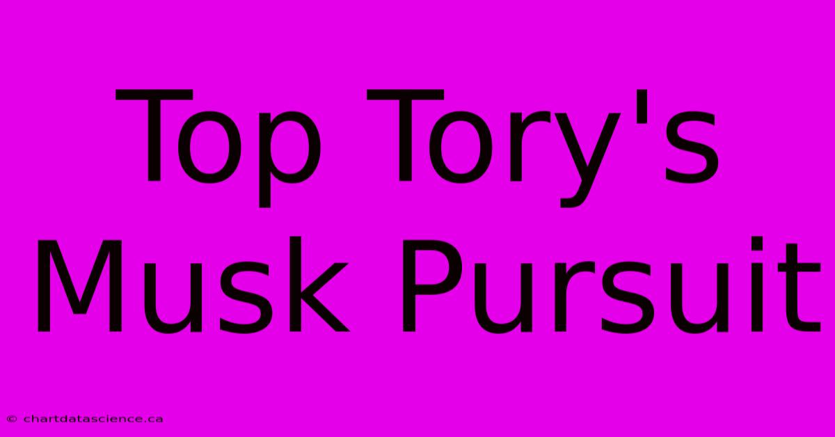 Top Tory's Musk Pursuit