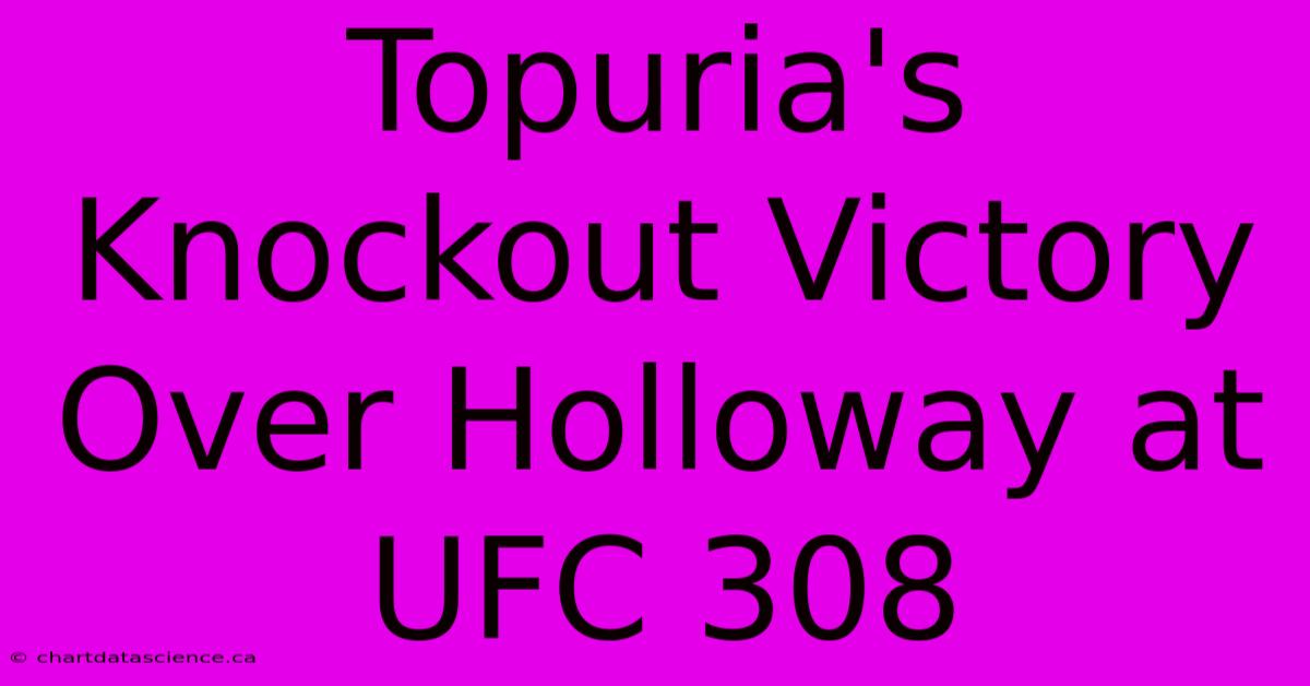 Topuria's Knockout Victory Over Holloway At UFC 308