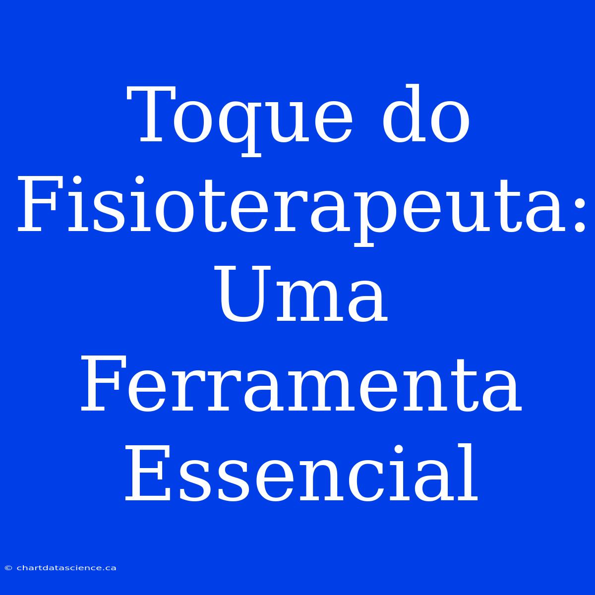 Toque Do Fisioterapeuta: Uma Ferramenta Essencial