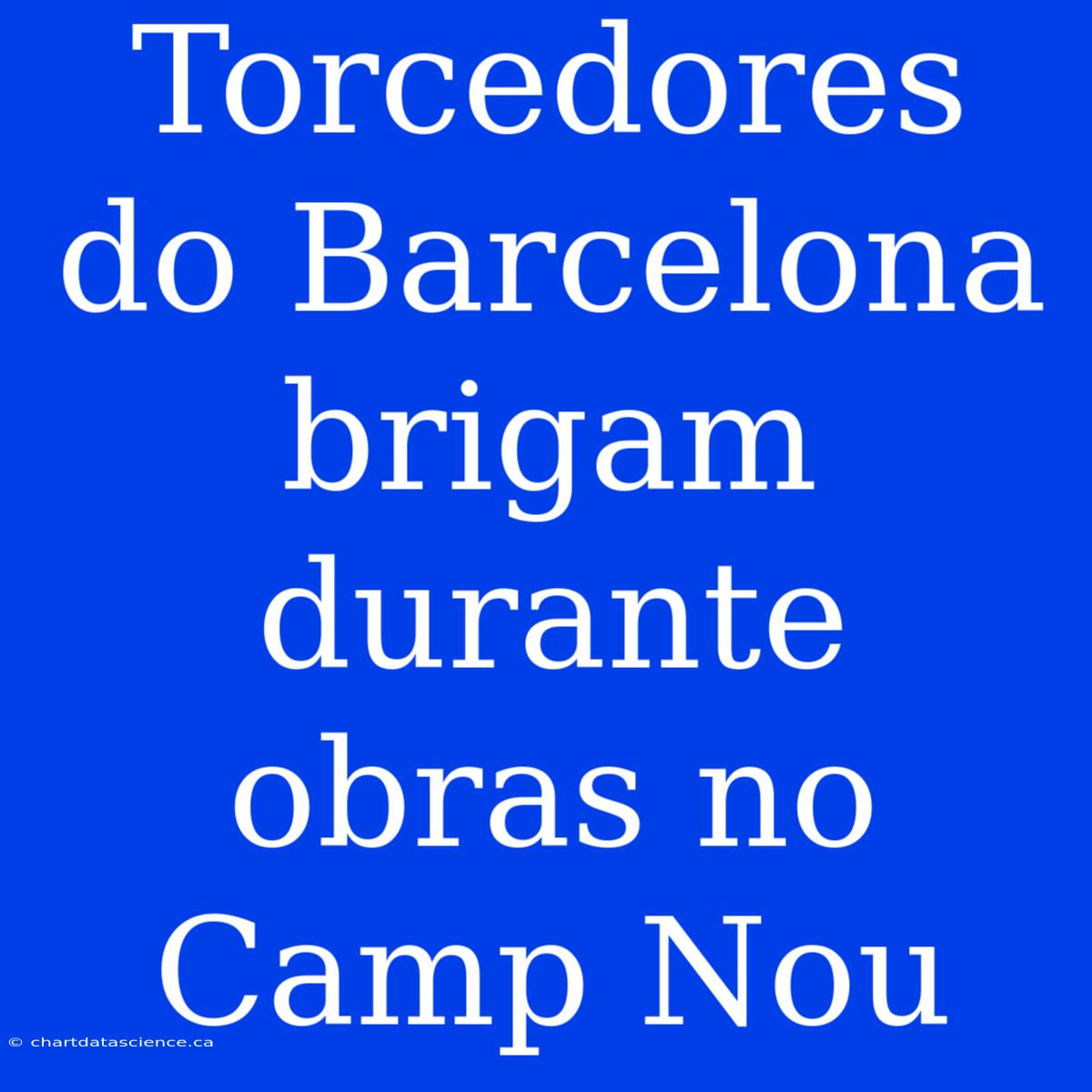 Torcedores Do Barcelona Brigam Durante Obras No Camp Nou