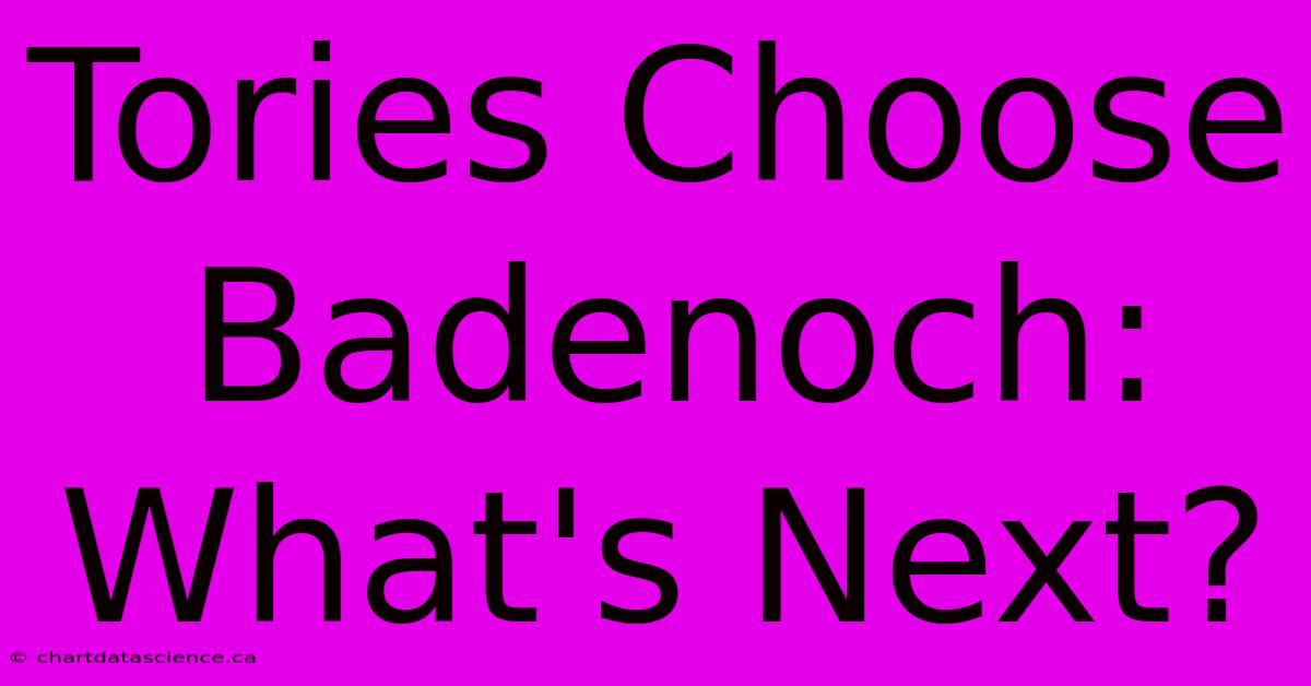 Tories Choose Badenoch: What's Next?