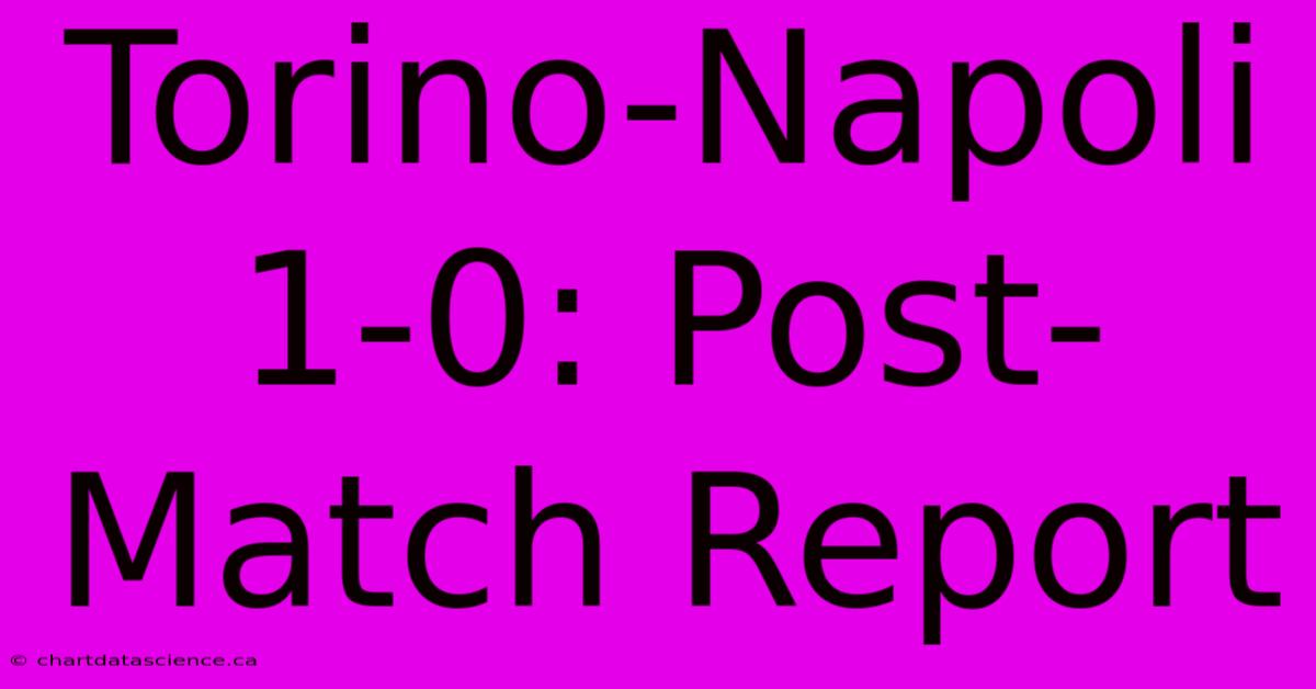 Torino-Napoli 1-0: Post-Match Report