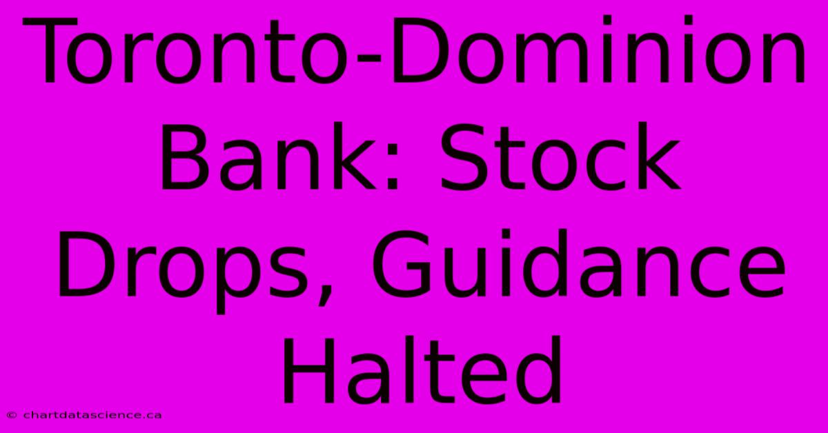 Toronto-Dominion Bank: Stock Drops, Guidance Halted