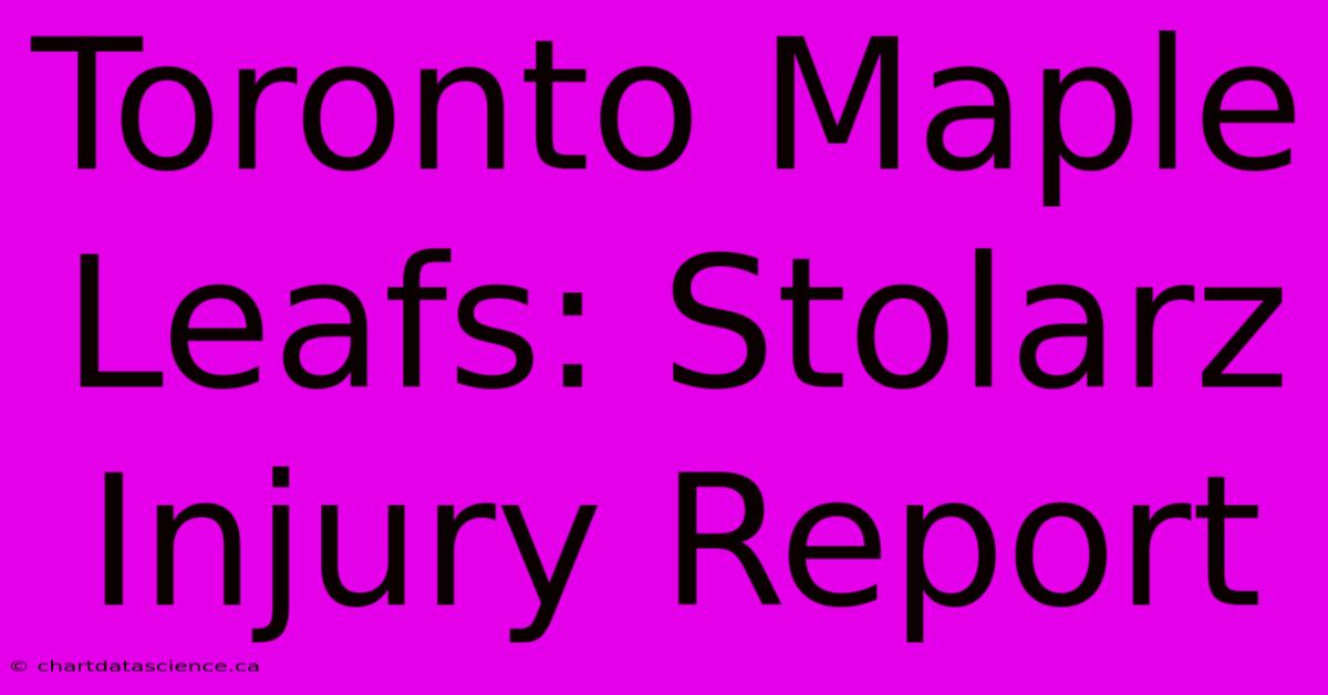 Toronto Maple Leafs: Stolarz Injury Report