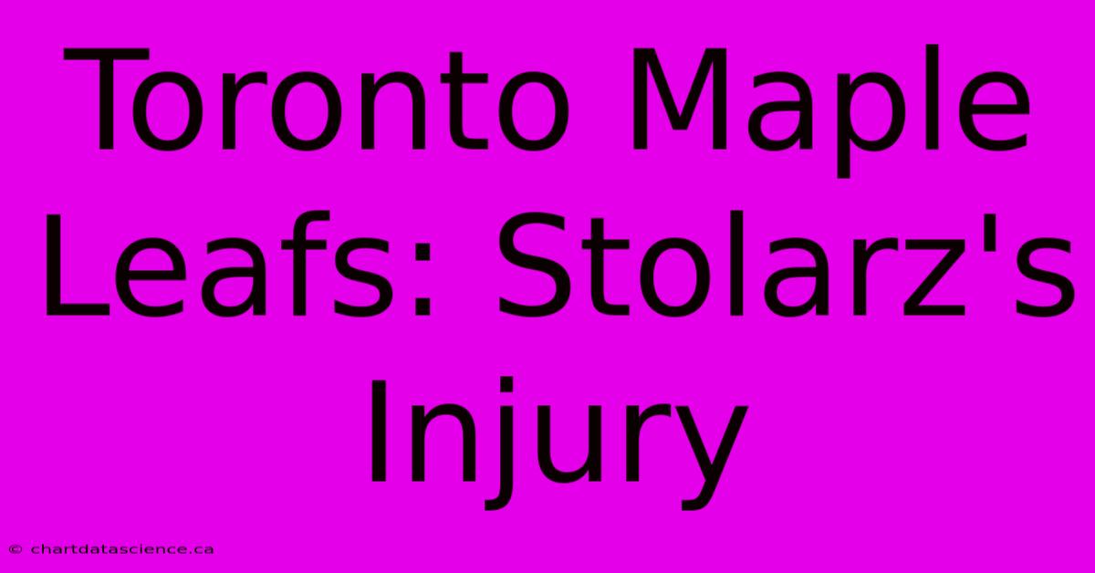 Toronto Maple Leafs: Stolarz's Injury