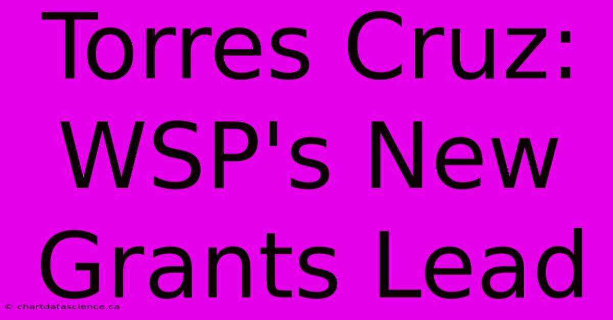 Torres Cruz: WSP's New Grants Lead