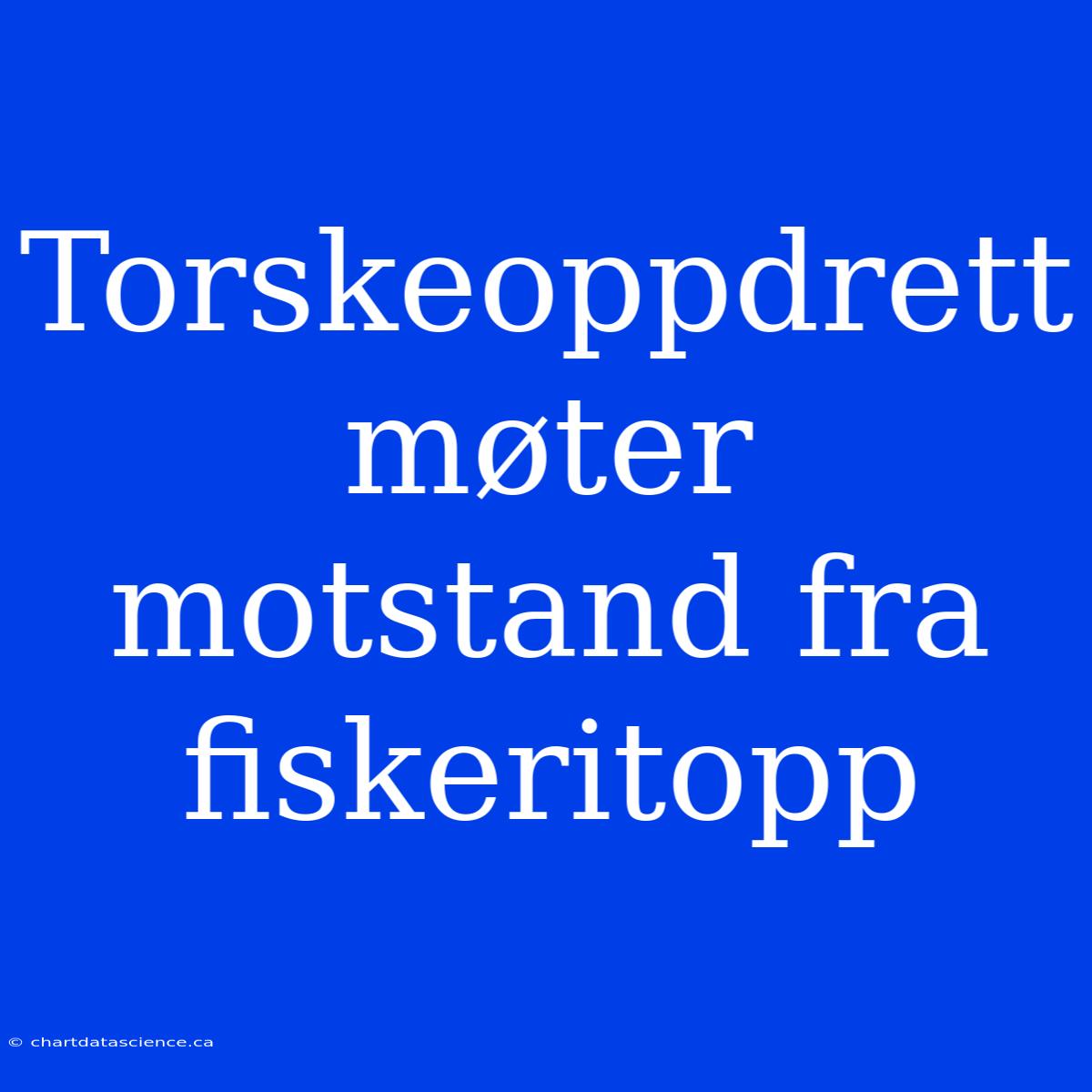 Torskeoppdrett Møter Motstand Fra Fiskeritopp