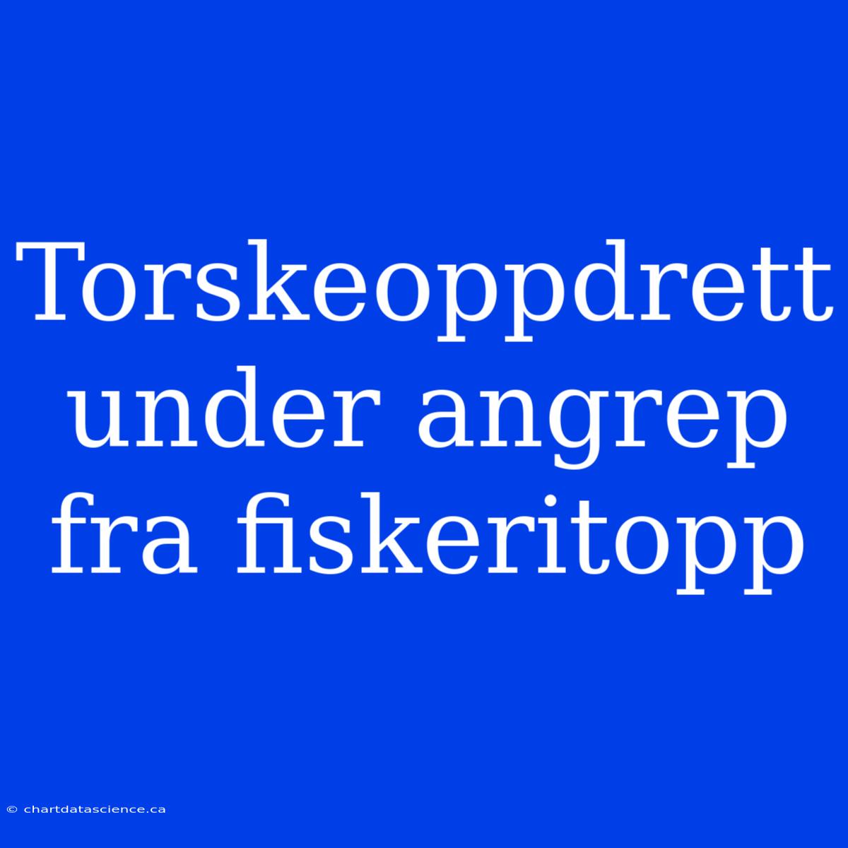 Torskeoppdrett Under Angrep Fra Fiskeritopp