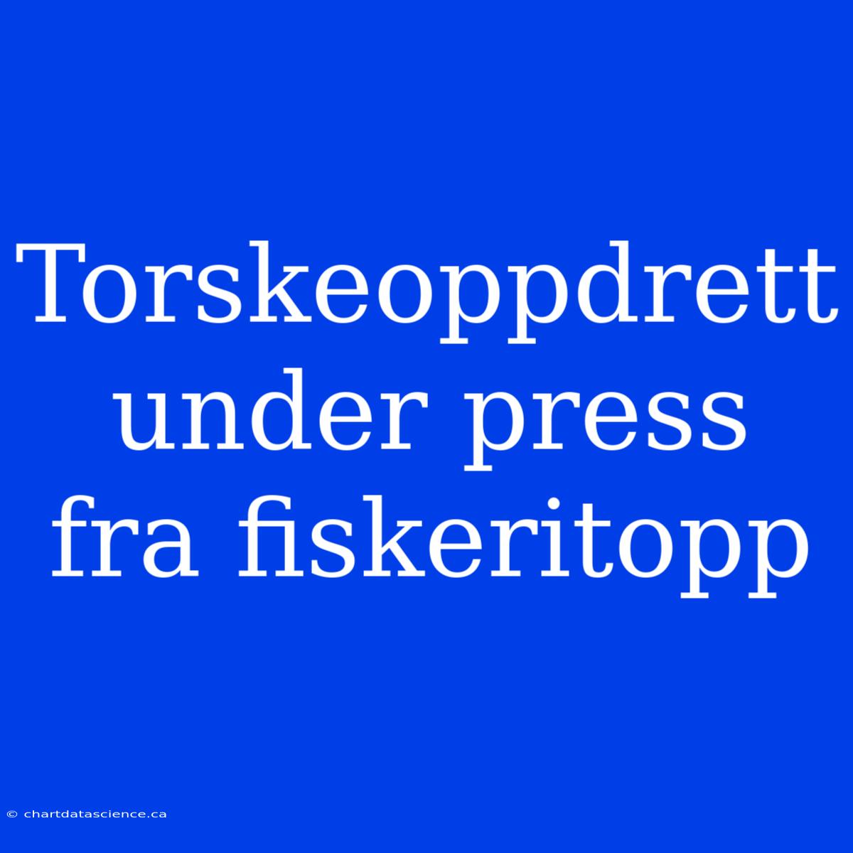 Torskeoppdrett Under Press Fra Fiskeritopp