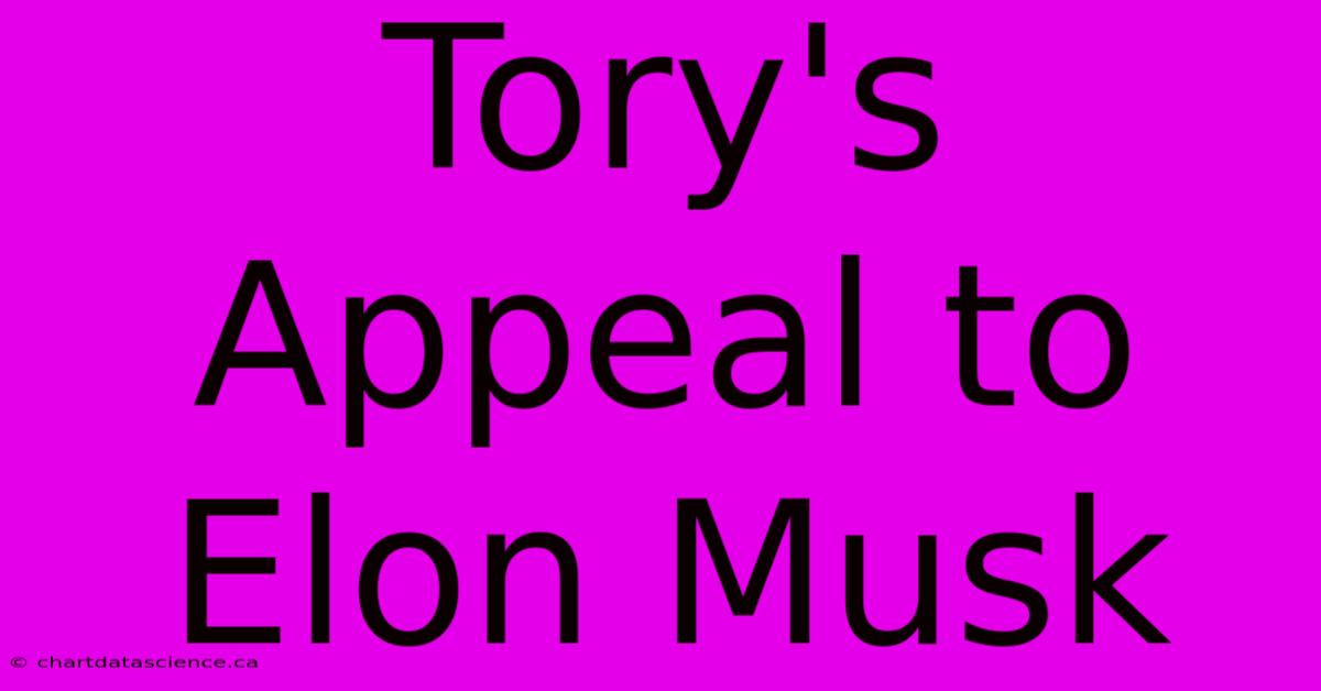 Tory's Appeal To Elon Musk