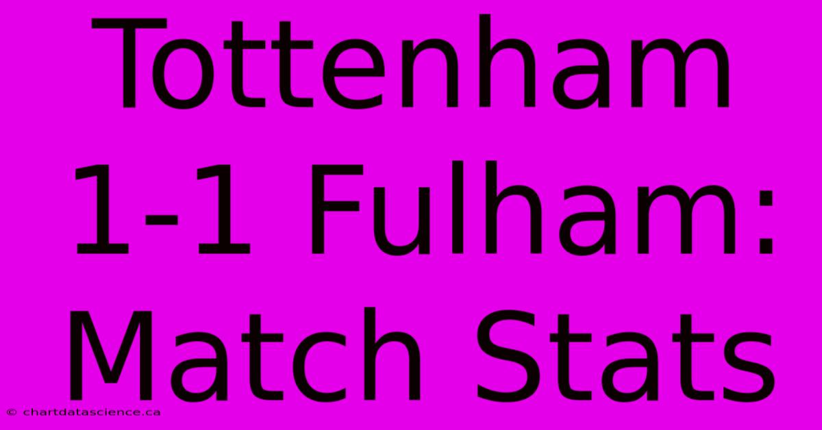 Tottenham 1-1 Fulham: Match Stats