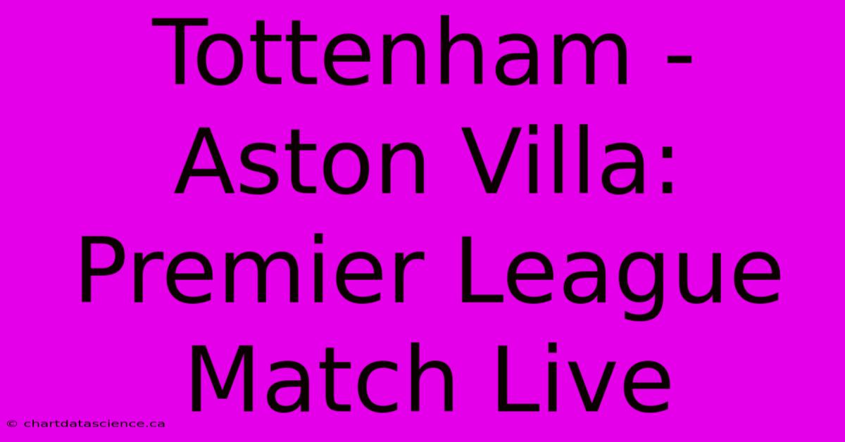 Tottenham - Aston Villa: Premier League Match Live 