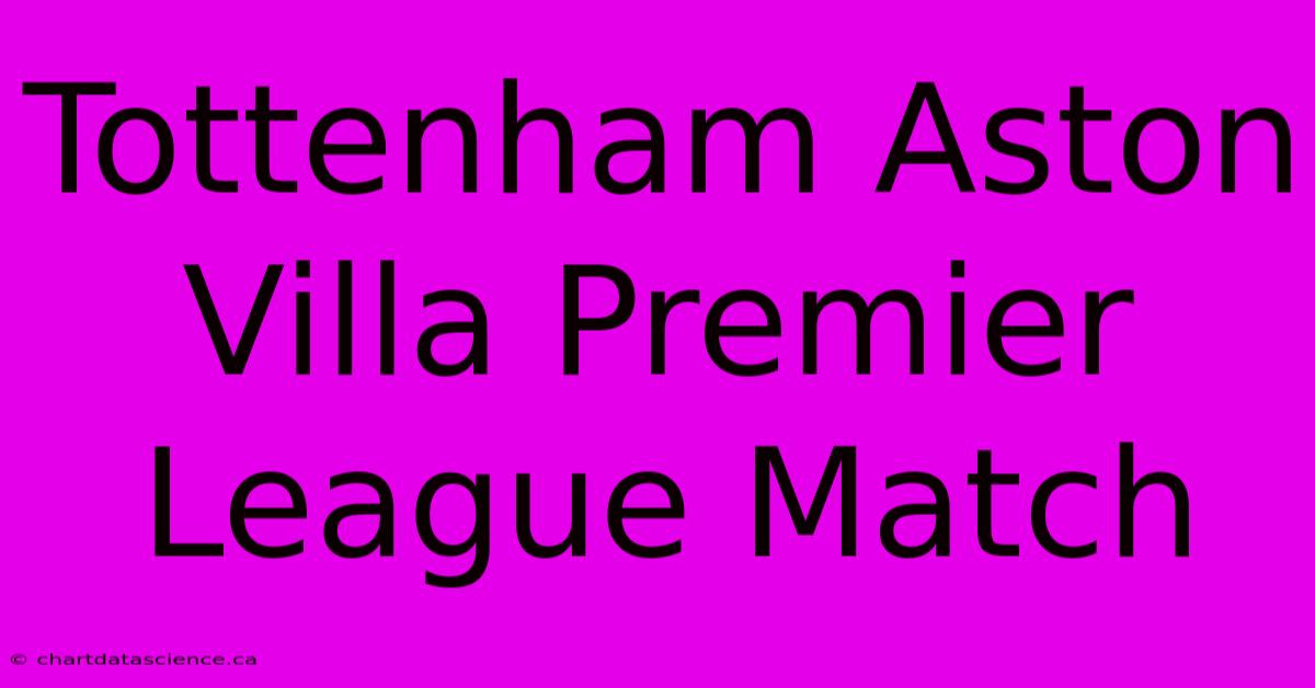 Tottenham Aston Villa Premier League Match